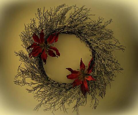 Wall Art - Photograph - Ice Wreath by David Dehner
