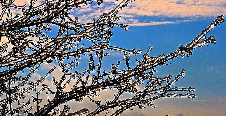 Icy by David Hubbs Icy by David Hubbs