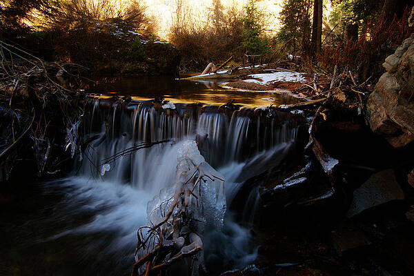 Wall Art - Photograph - Icy Logjam by Jeremy Rhoades
