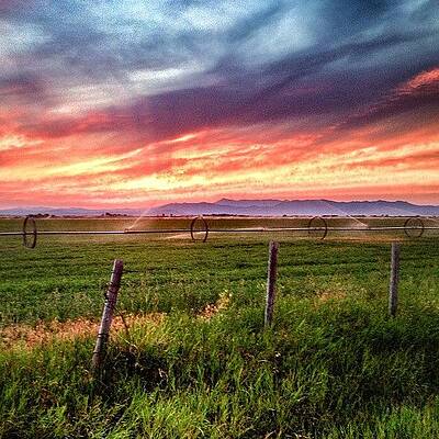 Wall Art - Photograph - #idaho #sunsets by Cody Haskell