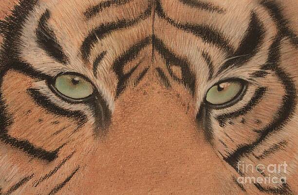 If Looks Could Kill by Paul Horton If Looks Could Kill by Paul Horton