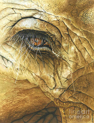 If You Could See What I've Seen... by Barbara Jewell If You Could See What I've Seen... by Barbara Jewell