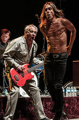 Wall Art - Photograph - Iggy Pop Live by Larry Hulst