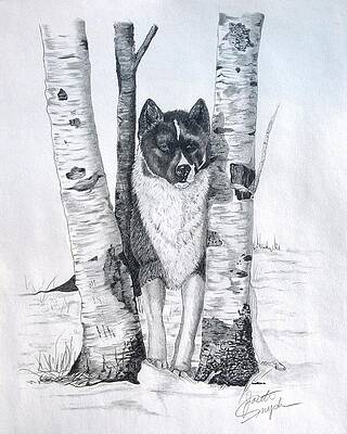 Ihasa in the Woods by Joette Snyder Ihasa in the Woods by Joette Snyder