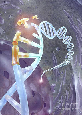Wall Art - Photograph - Illustration Depicting Genetic by Jim Dowdalls