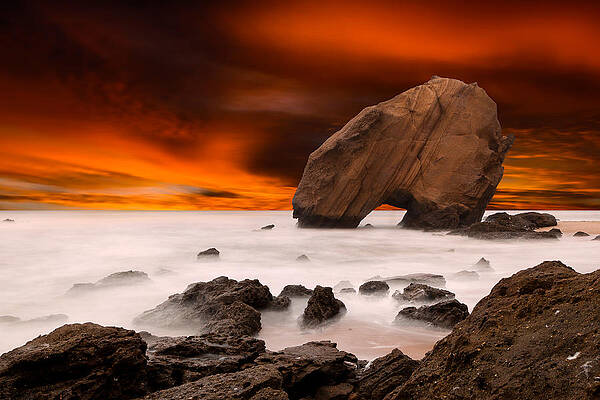 Wall Art - Photograph - Imagine by Jorge Maia