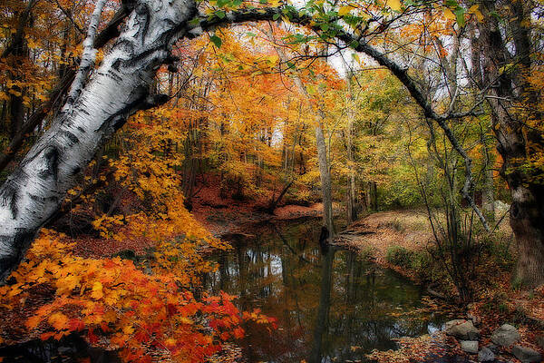 In Dreams Of Autumn by Kay Novy In Dreams Of Autumn by Kay Novy