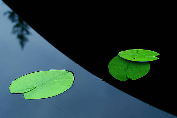 Wall Art - Photograph - In The Shade Off A Boat by Allan Wallberg