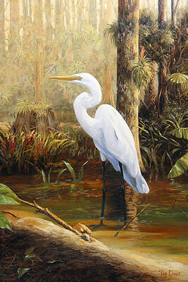 Wall Art - Painting - In the Shallows by Tim Davis