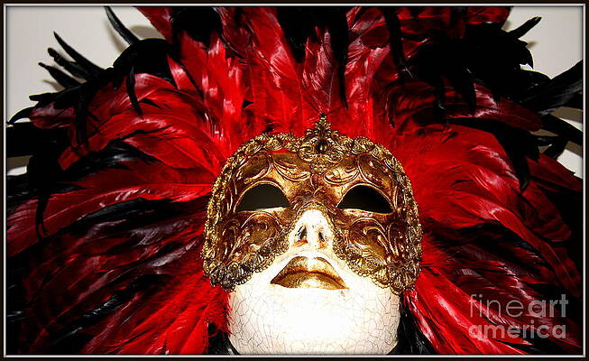  Photograph - Incognito.. by Jolanta Anna Karolska