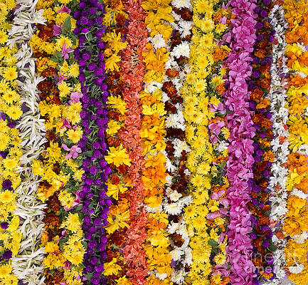 Wall Art - Photograph - Indian Flower Garlands  by Tim Gainey