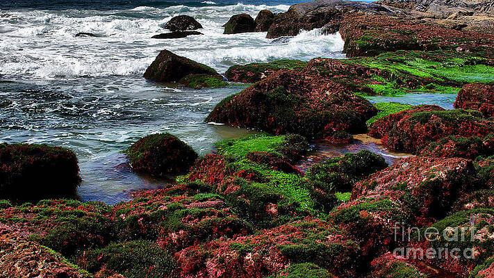 Indian Ocean by Mareko Marciniak Indian Ocean by Mareko Marciniak