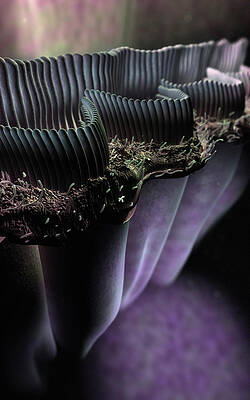 Wall Art - Photograph - Inner Ear Hair Cells by Science Photo Library