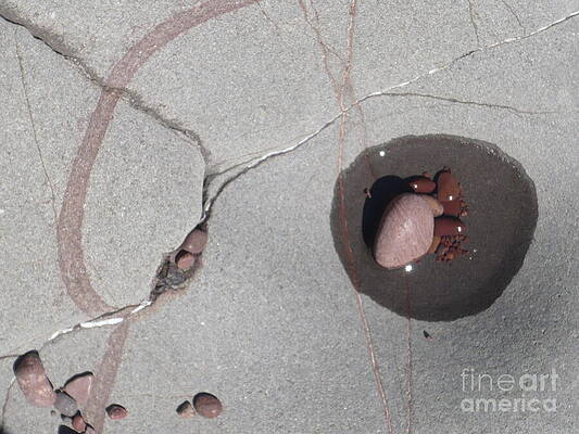 Wall Art - Photograph - Inner Space by Jim Simak