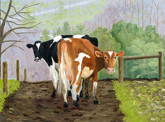 Inquisitive Cows by Barb Pennypacker Inquisitive Cows by Barb Pennypacker