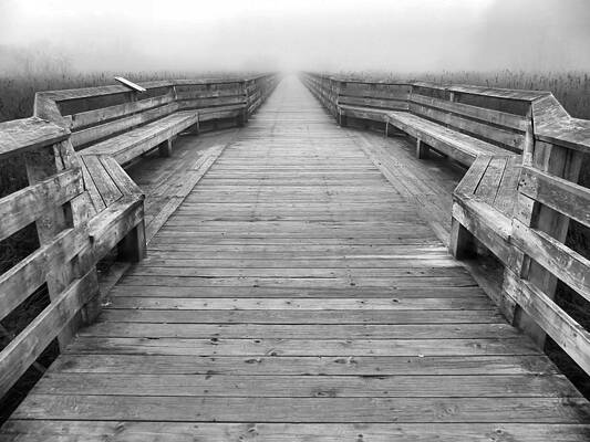 Into the Fog by Cheryl Hoyle Into the Fog by Cheryl Hoyle