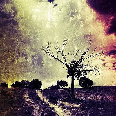 Wall Art - Photograph - Into The Storm --- Get Your Own Print by Mark David Gerson