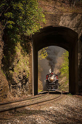 Wall Art - Photograph - Into the Tunnel by Joye Ardyn Durham