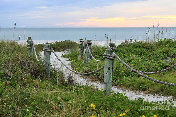 Inviting Path by Jayne Carney Inviting Path by Jayne Carney