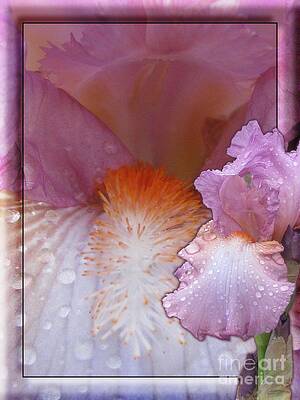 Iris Beard and Falls by Margaret Newcomb Iris Beard and Falls by Margaret Newcomb