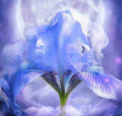 Wall Art - Mixed Media - Iris - Goddess In The Moonlite by Carol Cavalaris
