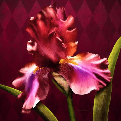 Iris I by April Moen Iris I by April Moen