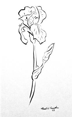 Iris II by Micah Guenther Iris II by Micah Guenther