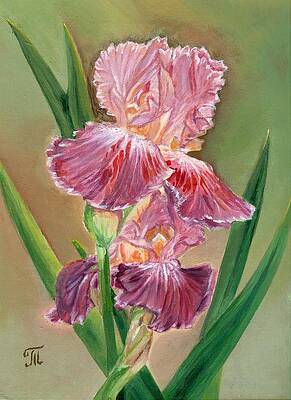 Irises Paintings (Page #34 of 100) | Fine Art America