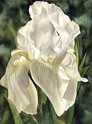 Wall Art - Painting - Iris In Spring by Alfred Ng