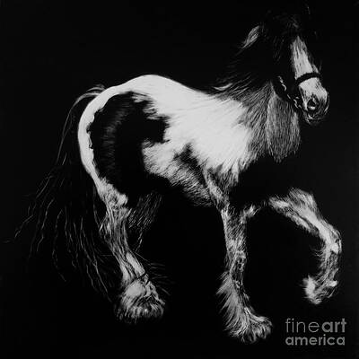 Irish Tinker by Karen Peterson by Karen Peterson Irish Tinker by Karen Peterson by Karen Peterson