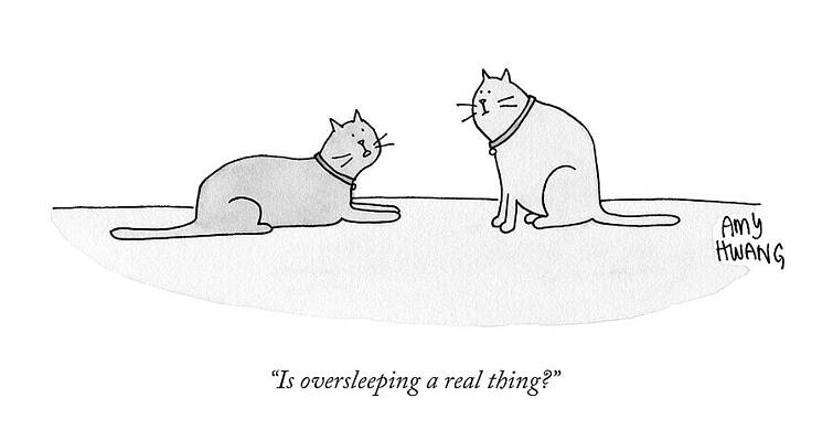 Wall Art - Drawing - Is Oversleeping A Real Thing? by Amy Hwang