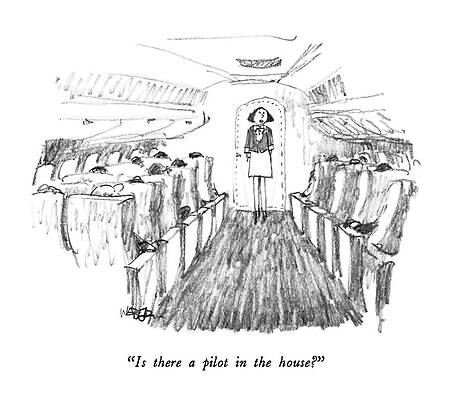Wall Art - Drawing - Is There A Pilot In The House? by Robert Weber