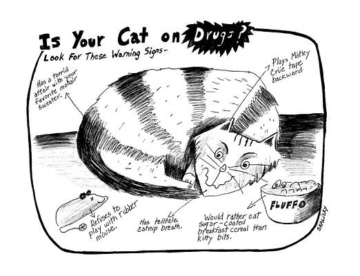 Is Your Cat On Drugs?  Look For These Warning Print by Stephanie Skalisk