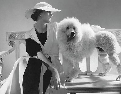 Wall Art - Photograph - Isabel Johnson With A Poodle by Edward Steichen