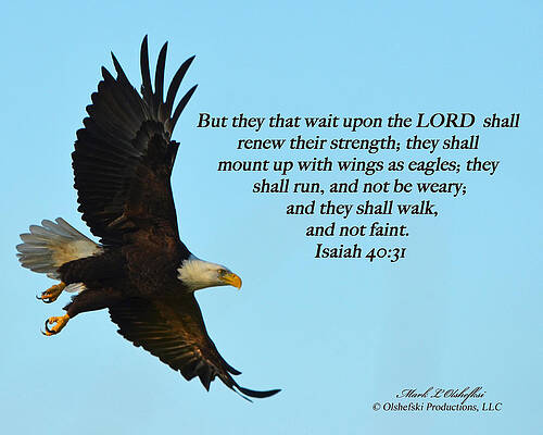 Bible Verse Lock Screen Isaiah 4031