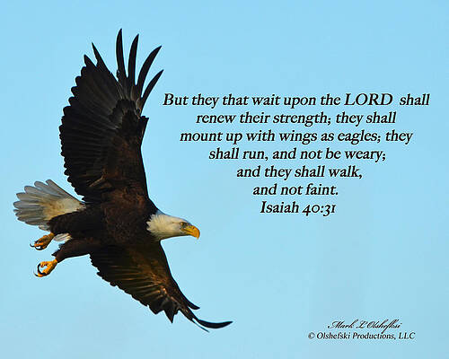 isaiah 40 31 clipart