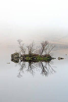 Wall Art - Photograph - Island of Trees Reflection by Grant Glendinning