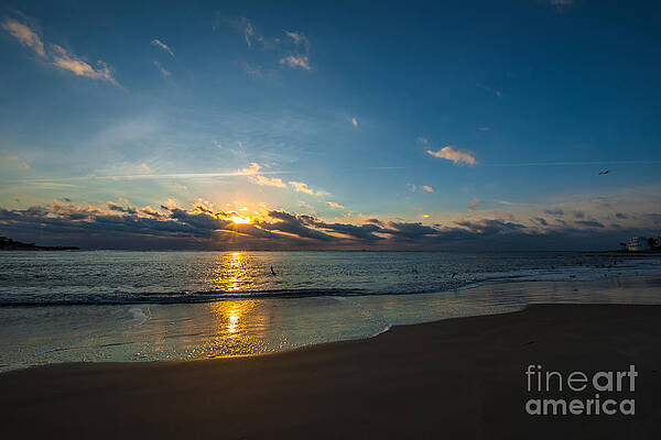  Photograph - Coastal Beach Sunrise by Dale Powell