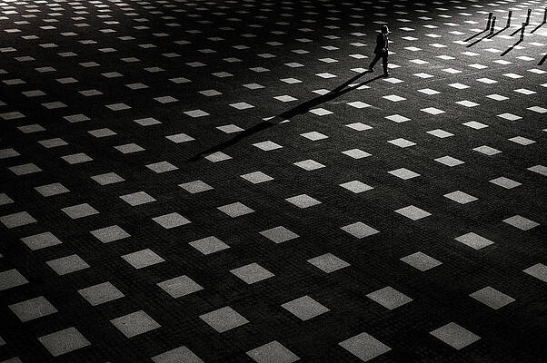 Wall Art - Photograph - It Is Scattered by Kouji Tomihisa