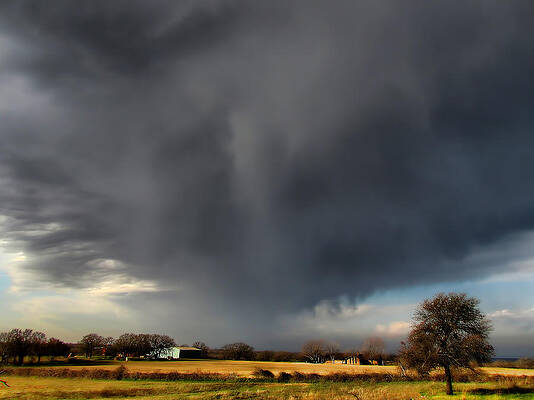 It looks like Rain by Shannon Story It looks like Rain by Shannon Story