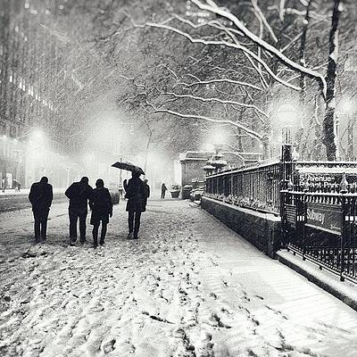Wall Art - Photograph - It Only Snowed A Tiny Bit Today Here In by Vivienne Gucwa