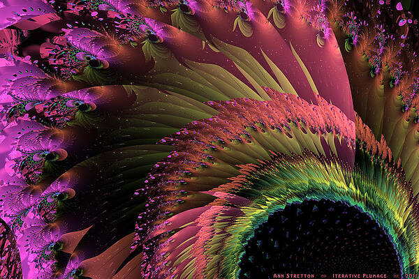 Iterative Plumage by Ann Stretton Iterative Plumage by Ann Stretton