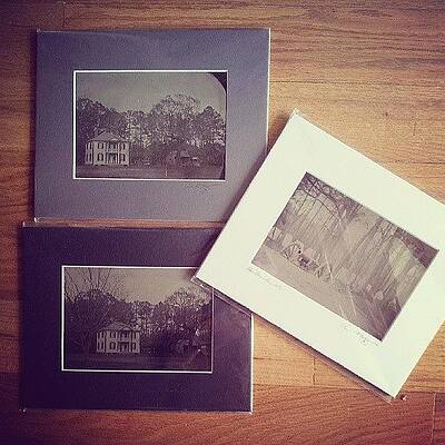 Wall Art - Photograph - I've Got 2 Of These Left...who Wants by Chris Morgan