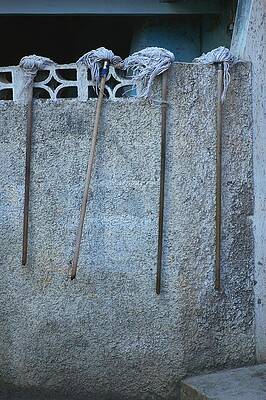 Jamaican Mops by Randy Pollard Jamaican Mops by Randy Pollard