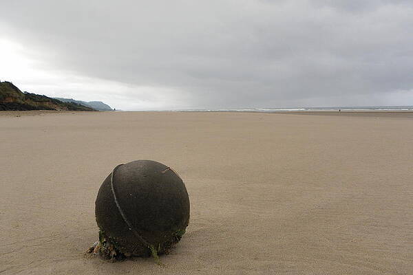 Japanese Float on Tillicum Beach by Jo Leach