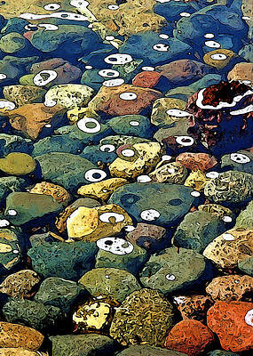 Japanese Garden Pool Rocks by Gary Olsen-Hasek Japanese Garden Pool Rocks by Gary Olsen-Hasek