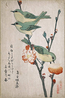 Japanese White-eyes Perching on a Branch of Peach Tree Print by Kubo Shunman