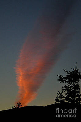 Wall Art - Photograph - Jet Vapor Trail by Ron Sanford