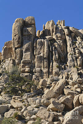 Wall Art - Photograph - Joshua Tree Rock Formations by Gregory G. Dimijian, M.D.