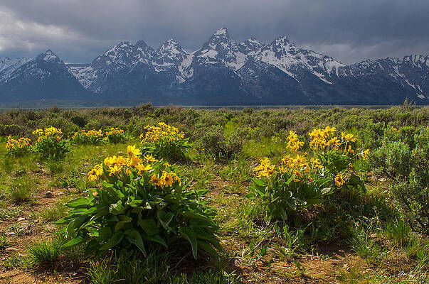 Wall Art - Photograph - Joy and Gloom by Aaron Spong